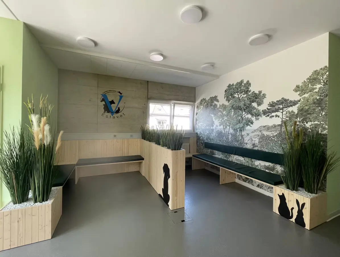 Cabinet Estavet, salle d'attente