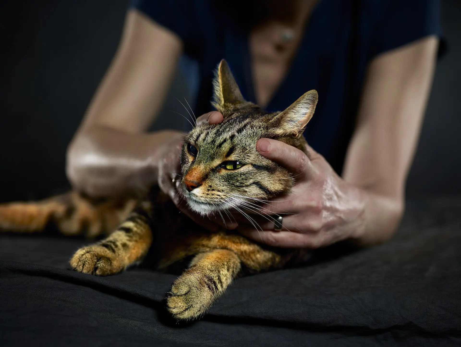 Manipulation ostéopathique