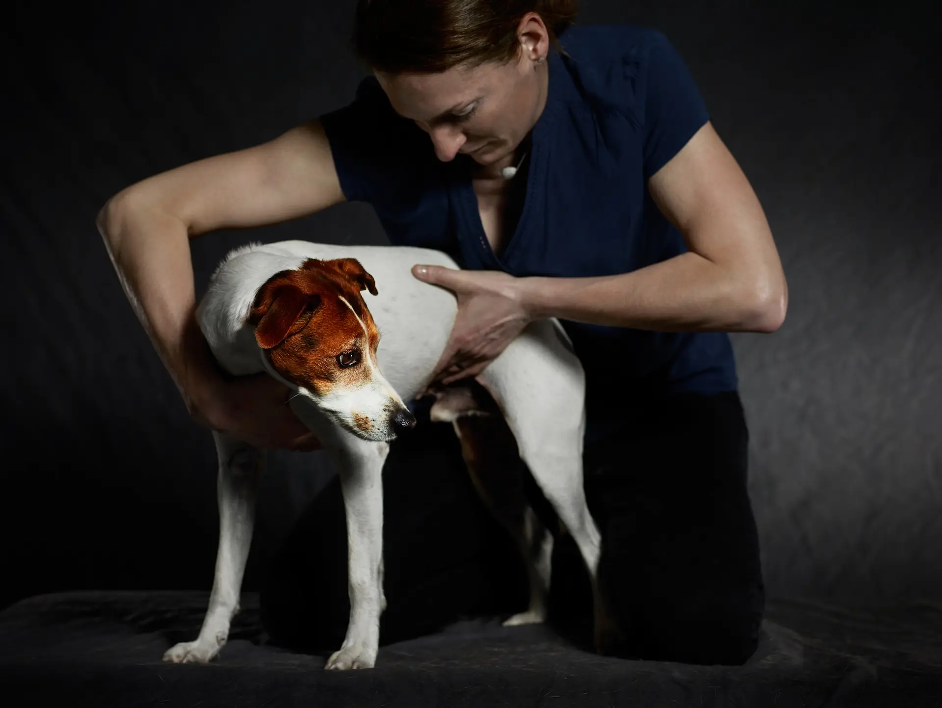 Ostéopathie animale